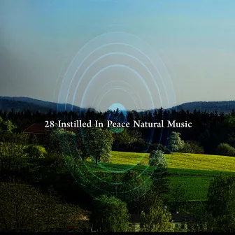 28 Instilled In Peace Natural Music by Outside Broadcast Recordings