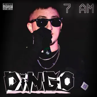 7AM by DINGO