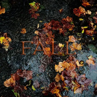 Fall by Hyr