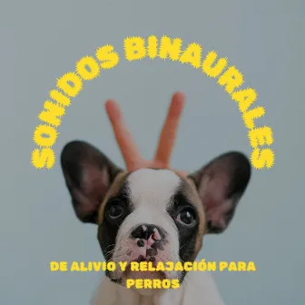 Sonidos Binaurales De Alivio Y Relajación Para Perros by Frecuencias de tierra y frecuencias de 432 Hz