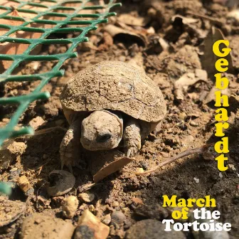 March of the Tortoise by Gebhardt