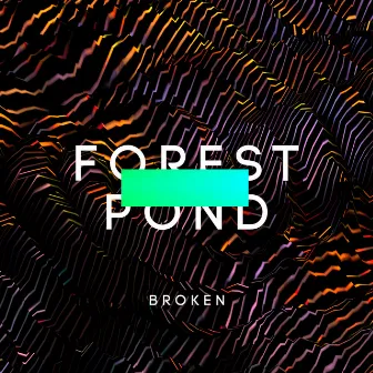 Broken by Forest Pond