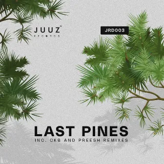 Suggestion EP by Last Pines