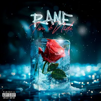 RANE by TOM