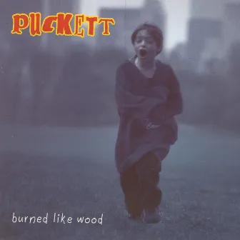 Burned Like Wood by Matthew Puckett