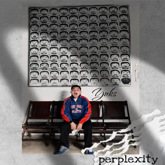 Perplexity by YNKS