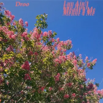 Luv Ain't Meant 4 Me by Droo