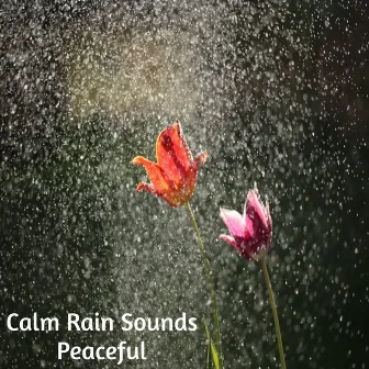 Peaceful by Calm Rain Sounds