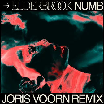 Numb (Joris Voorn Remix) by Joris Voorn