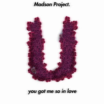 You Got Me So in Love by Madson Project.