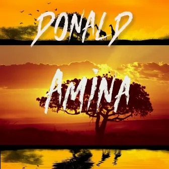 Amina (Radio Edit) by Donald