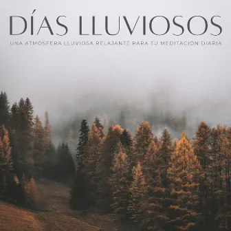 Días Lluviosos: Una Atmósfera Lluviosa Relajante Para Tu Meditación Diaria by Fábrica de Sonidos de Lluvia STHLM