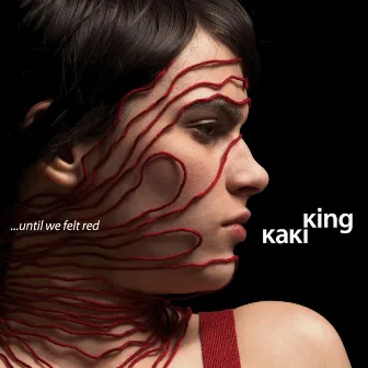 Until We Felt Red by Kaki King