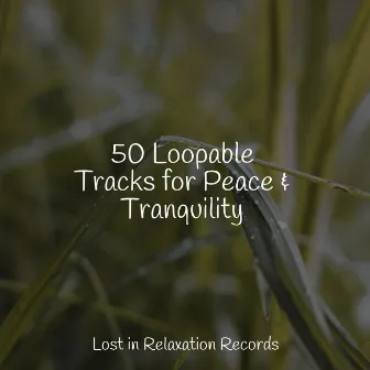 50 Loopable Tracks for Peace & Tranquility by Soothing Sounds