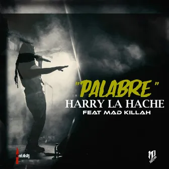 Palabre by Masto Prod