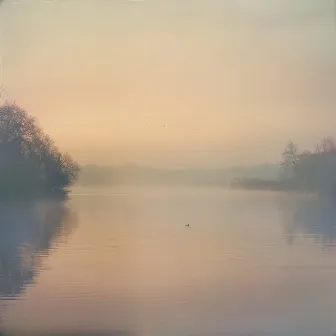 Corrientes De Meditación: Vibraciones Del Arroyo Binaural by Vibraciones intencionales