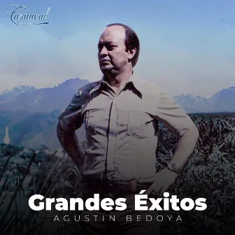 Grandes Éxitos by Agustín Bedoya