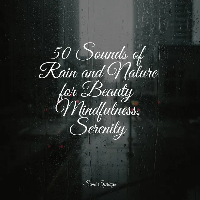 50 Sounds of Rain and Nature for Beauty Mindfulness, Serenity