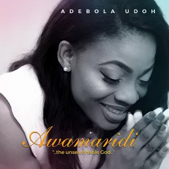 Awamaridi - The Unsearchable God by Adebola Udoh