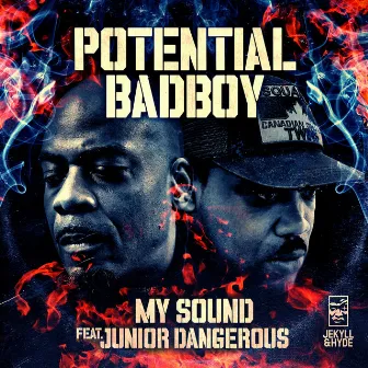 My Sound by Potential Badboy