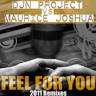 Feel for You 2011 Remixes by DJN Project