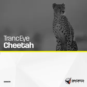 Cheetah by TrancEye