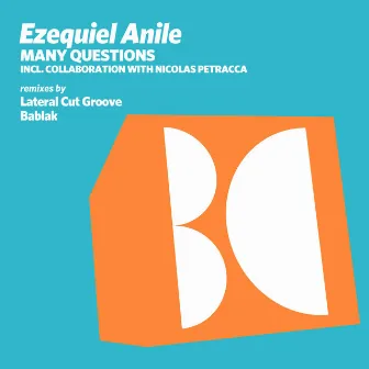 Many Questions by Ezequiel Anile