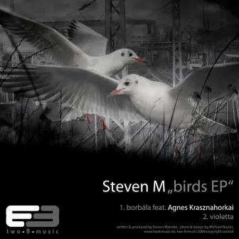 Birds EP by Steven M