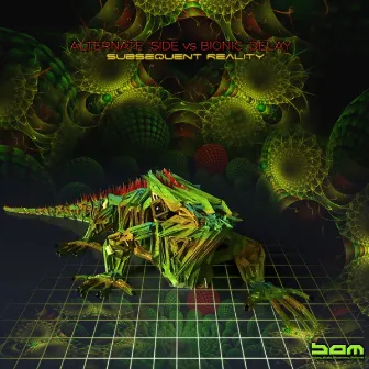 Alternate Side vs Bionic Delay - Subsequent Reality by Bionic Delay