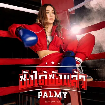 ซังได้ซังแล้ว (ซนซน 40ปี GMM GRAMMY) - Single by Palmy