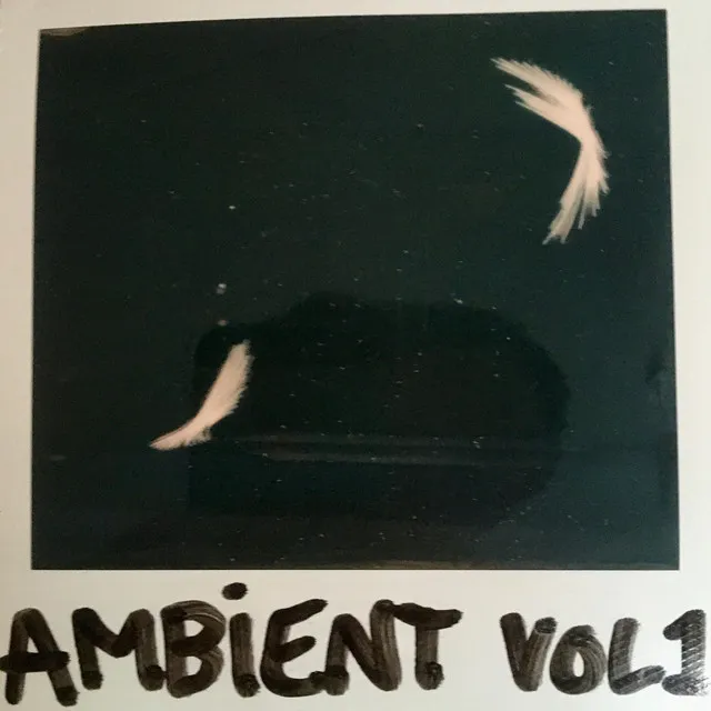 Ambient, Vol. 1