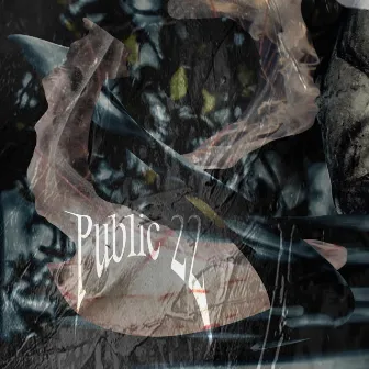 Public22 by migu