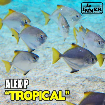 Tropical by Alex P