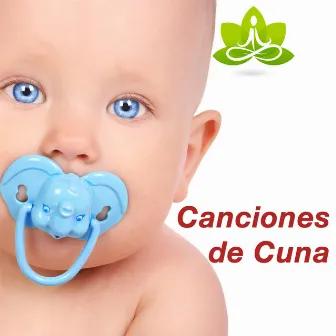 Canciones de Cuna para Bebes - Música Suave y Tranquila de Paz Perfecta para las Madres Embarazadas y sus Bebés by Beta Alpha Theta Wellen Waves