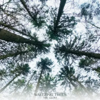 Waltzing Trees by Mr. Glom