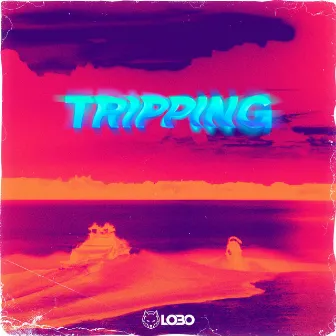 Tripping by Lobo DJ