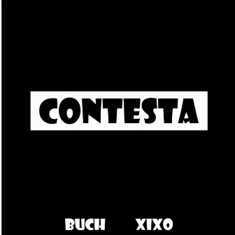 Contesta by Buch