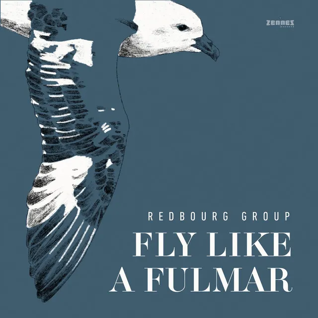 Fly Like a Fulmar