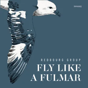 Fly Like a Fulmar by Unknown Artist