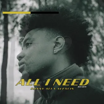 all i need (Remix) by Danny Ali