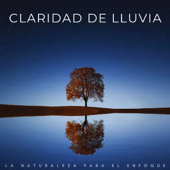 Claridad De Lluvia: La Naturaleza Para El Enfoque by Música para Focus Vibes