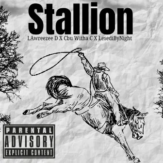 Stallion by Cbu Witha C