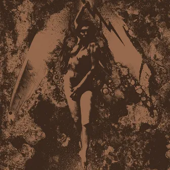 Converge / Napalm Death Split by Converge