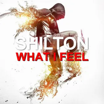 What I Feel by Shilton