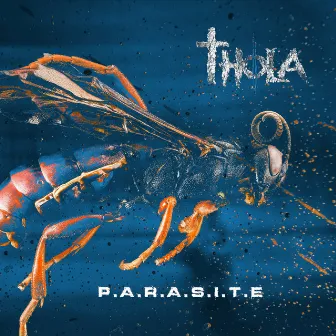 P.a.r.a.s.i.t.e by Thola