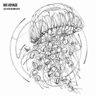 Jellyfish Bloom Suite by Big Voyage