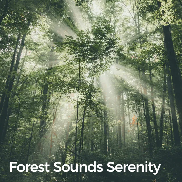 Forest Calmness - Seamless