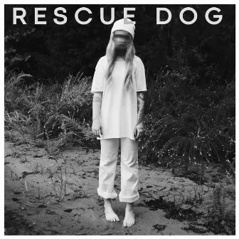 something about you by rescue dog