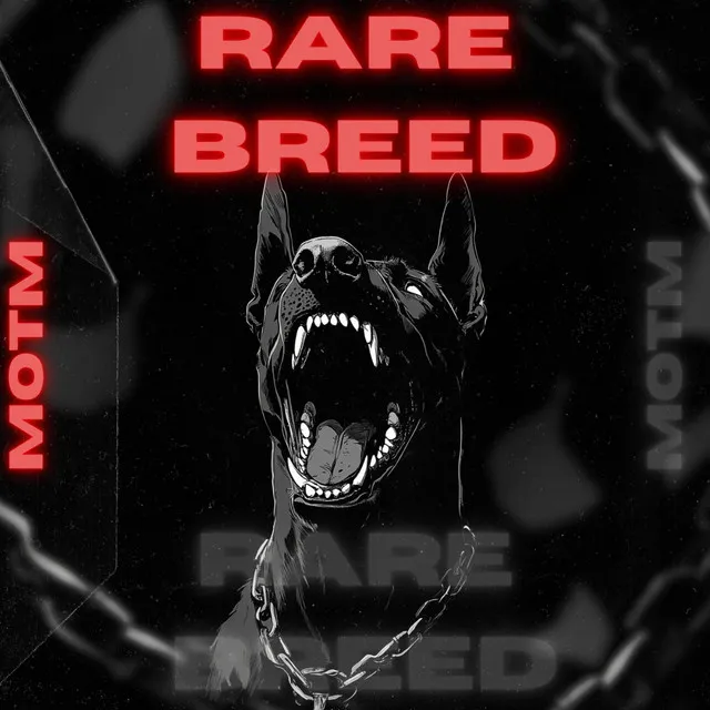 RARE BREED