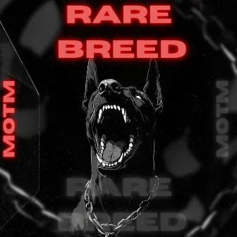 RARE BREED by MOTM